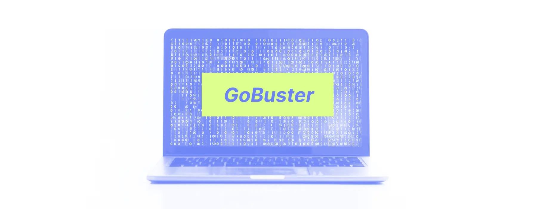 How to Use GoBuster for OSINT?