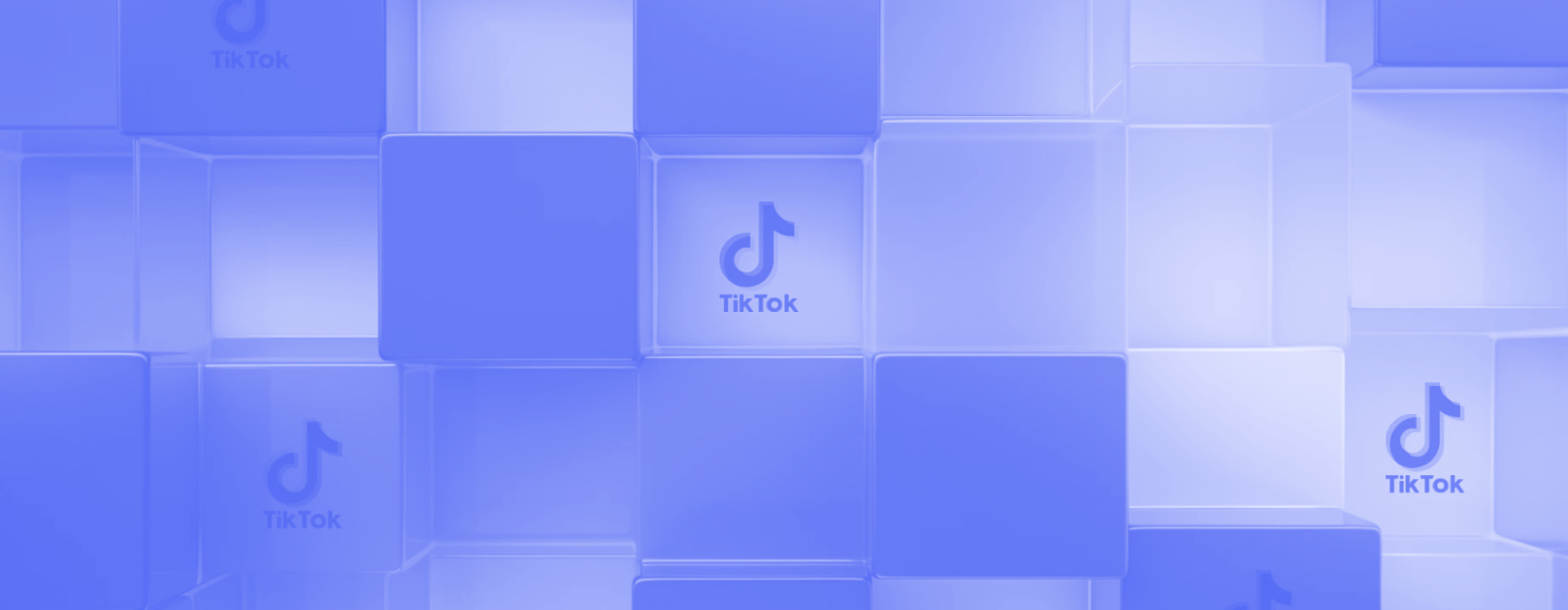 How to Find Someone on TikTok