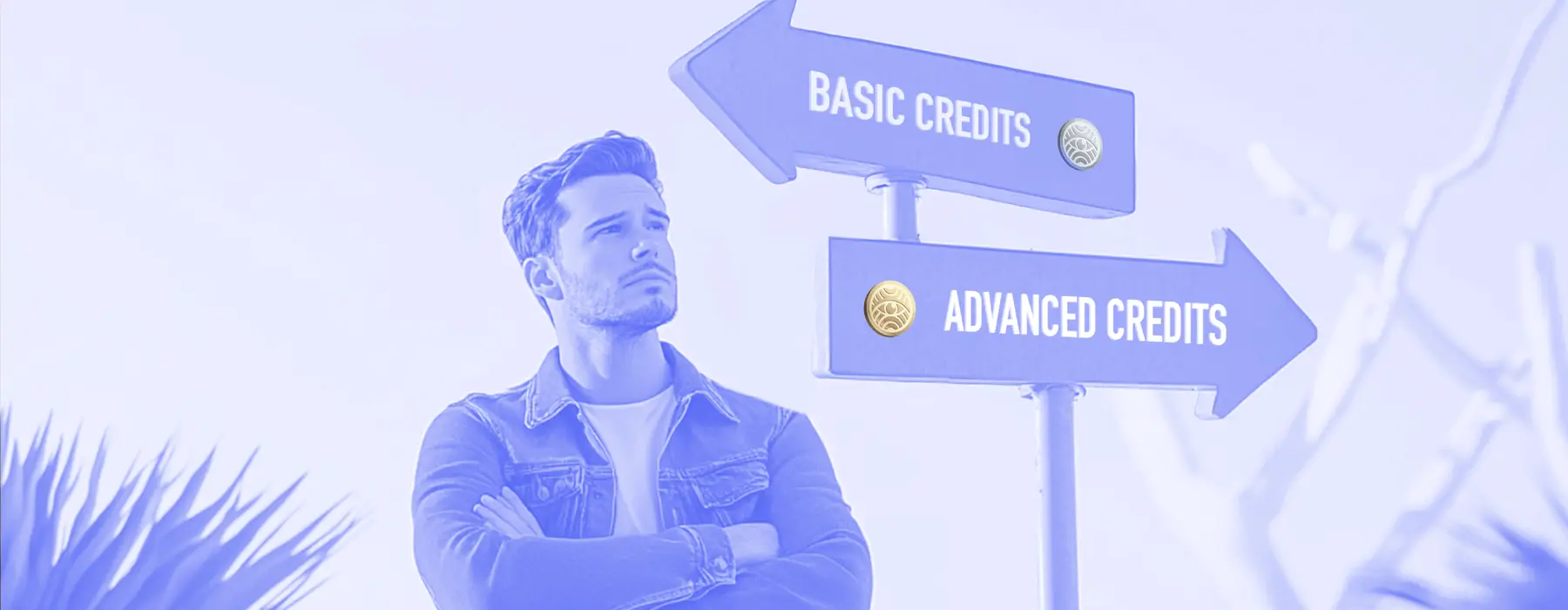 Advanced and Basic Credit Comparison